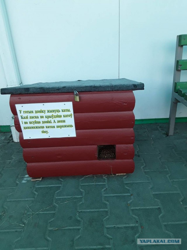 1516194017-42a38bcc5bb22c07e34de88d88451