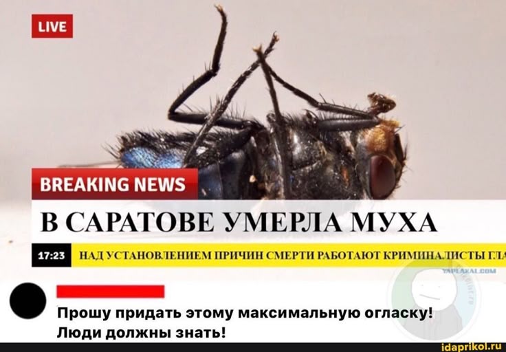 1742481138-42c482b9fb937c146deb117f897ca