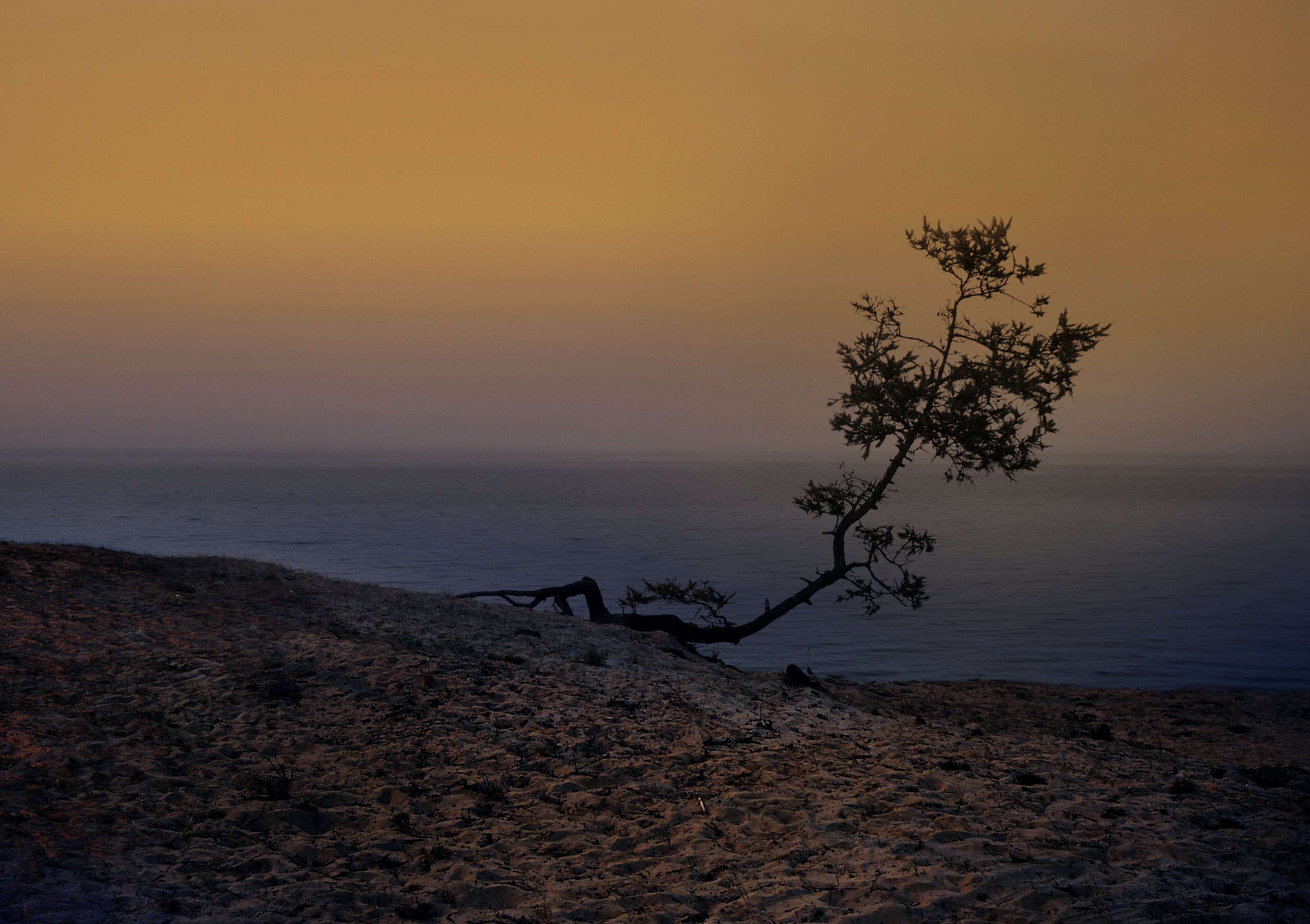 1756816915-4322c5925cae238615f9a9ae58116