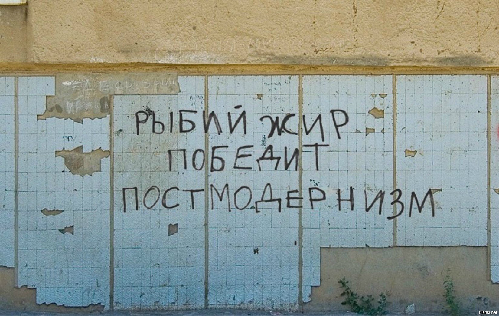 1670566558-44f6ffd720826d578414f5cebf41f