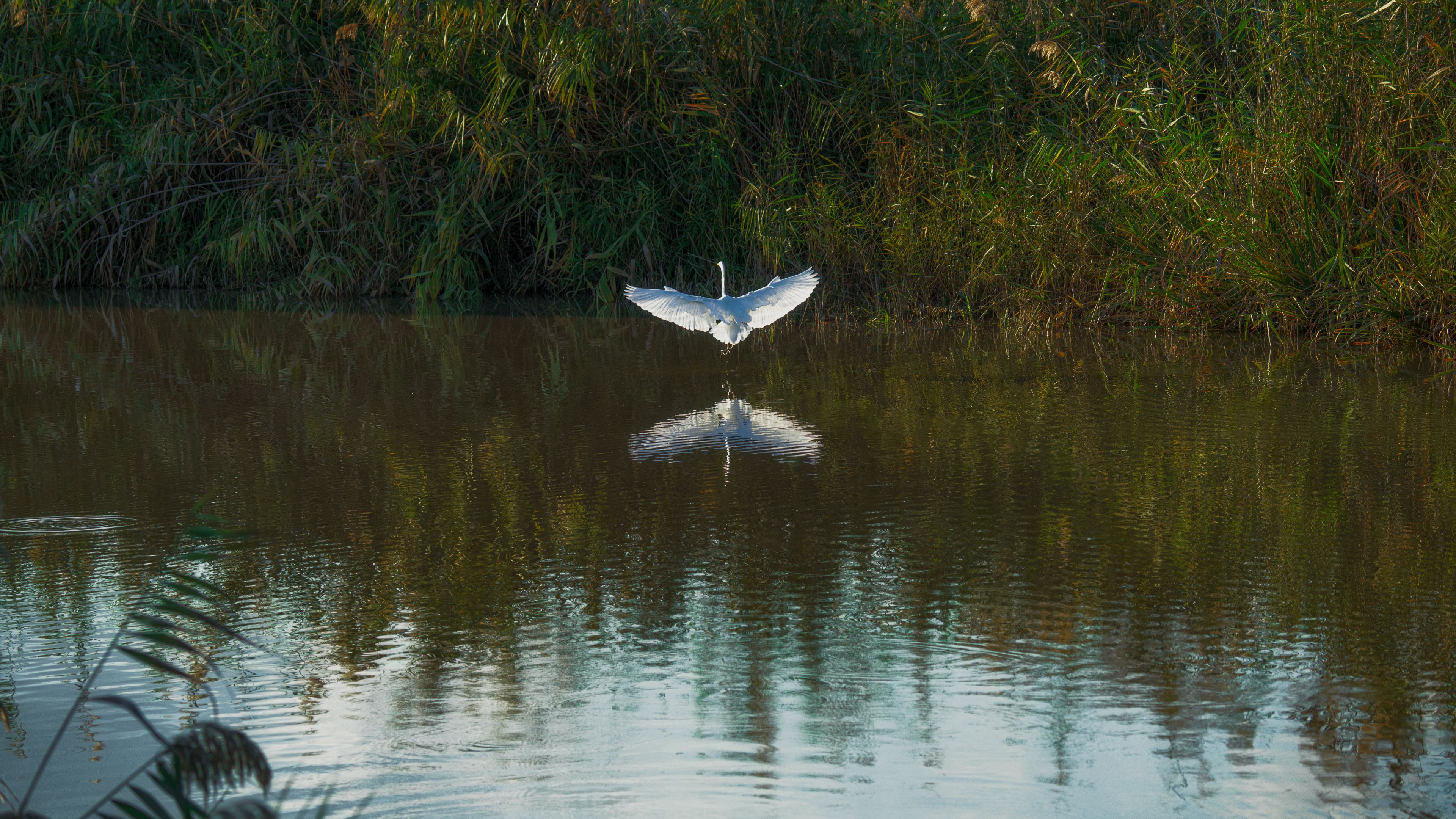 Наедине с природой