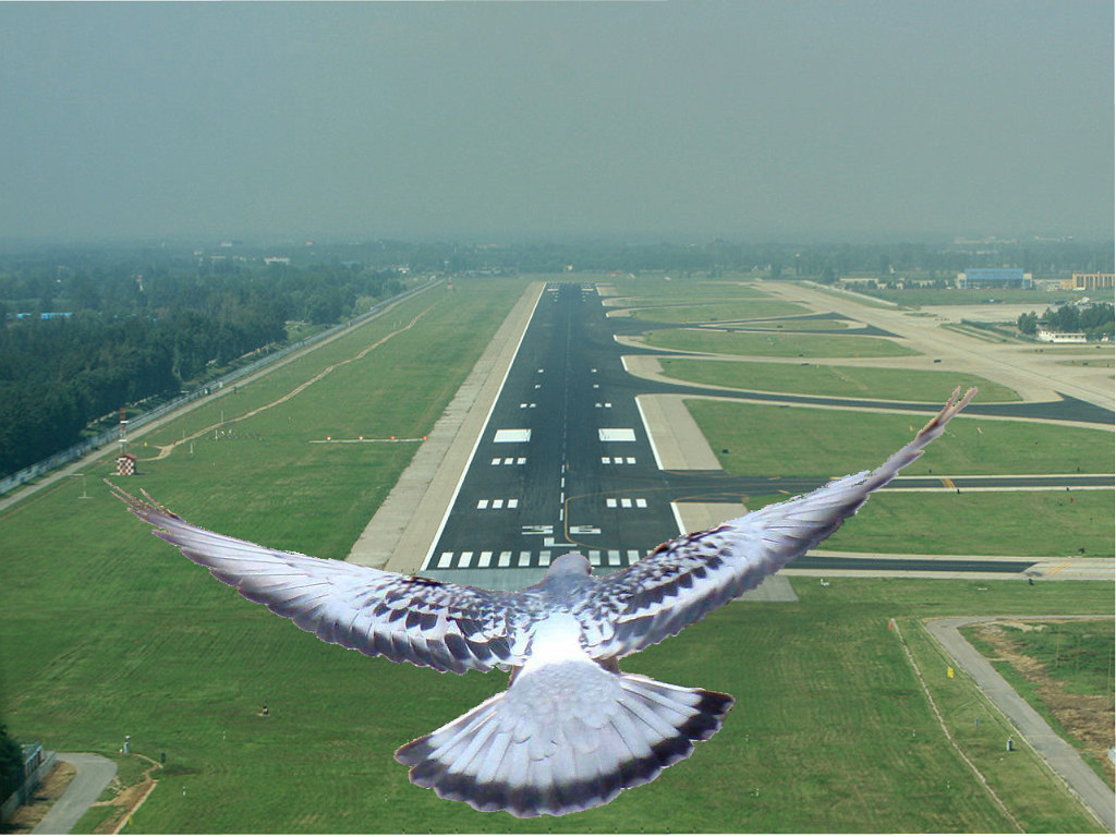 1517340549-479216227900f95d6d3bdb9a20d24