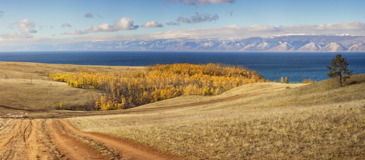 Солнечным днем