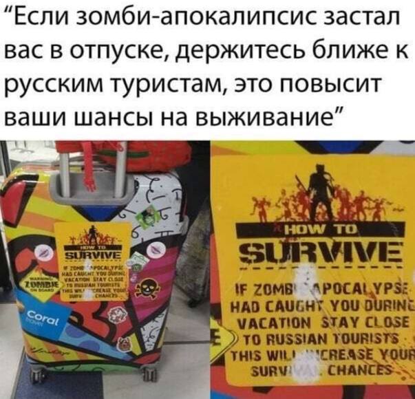 1660119211-4a8043908db4728121ed55e31db55