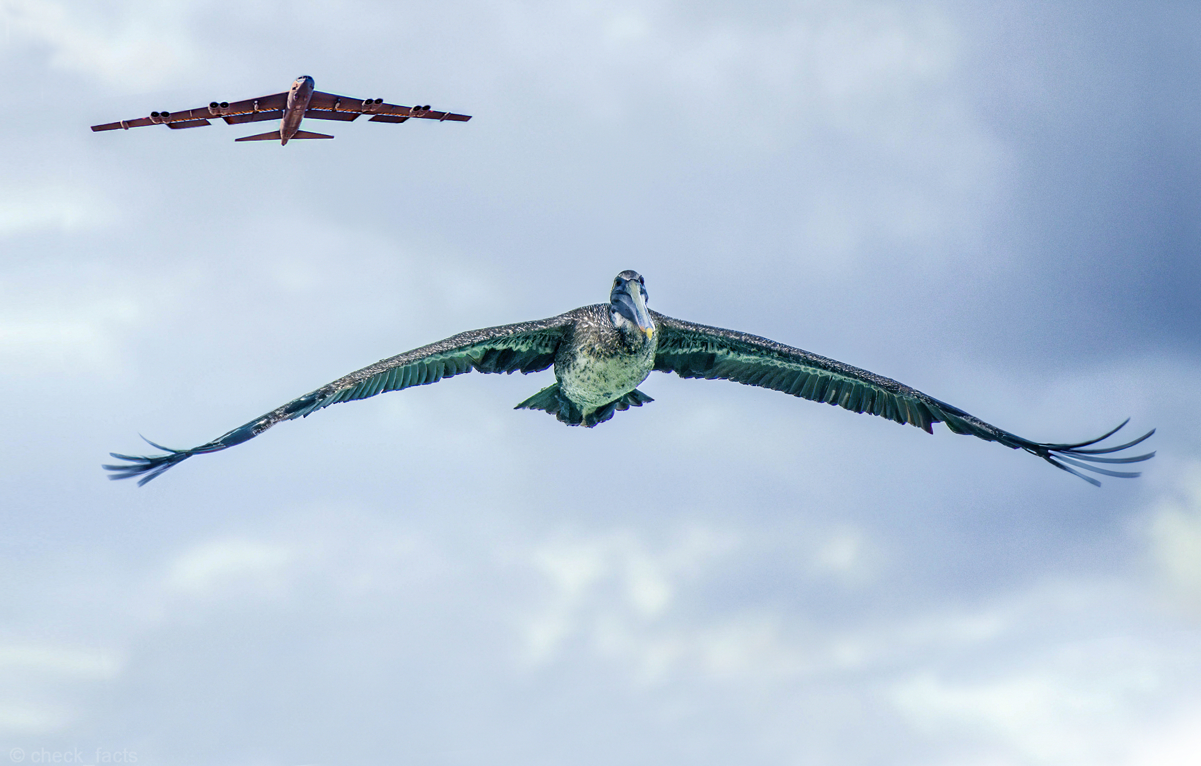 1639973456-4af427810ac0fcfd38e20a267ac0d