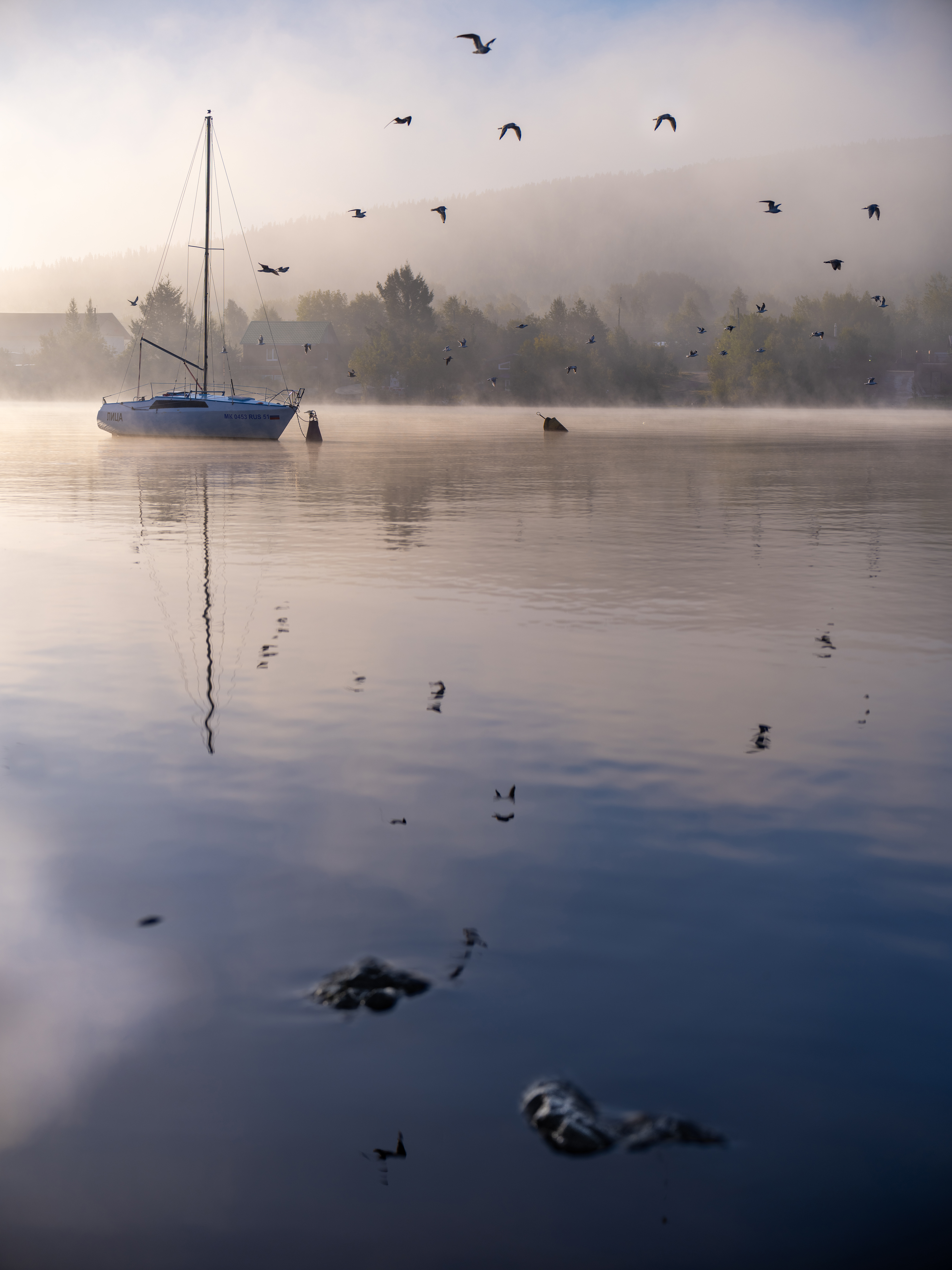 1756785681-4b4a6c5462321c4f9f3f43962720c