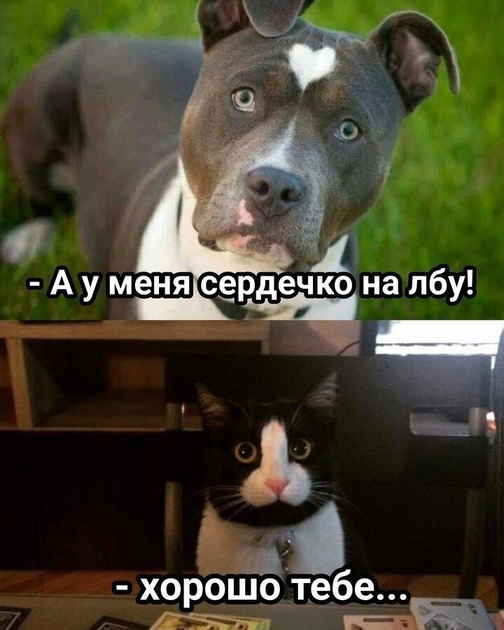 1748804252-4b8c5e744dec9dd9c347c6028d6ac