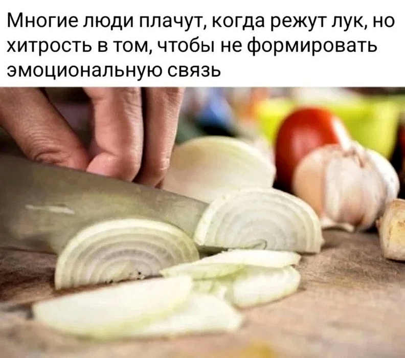 1664721383-4ba9fc6d6bb64a75a3a3612cac579