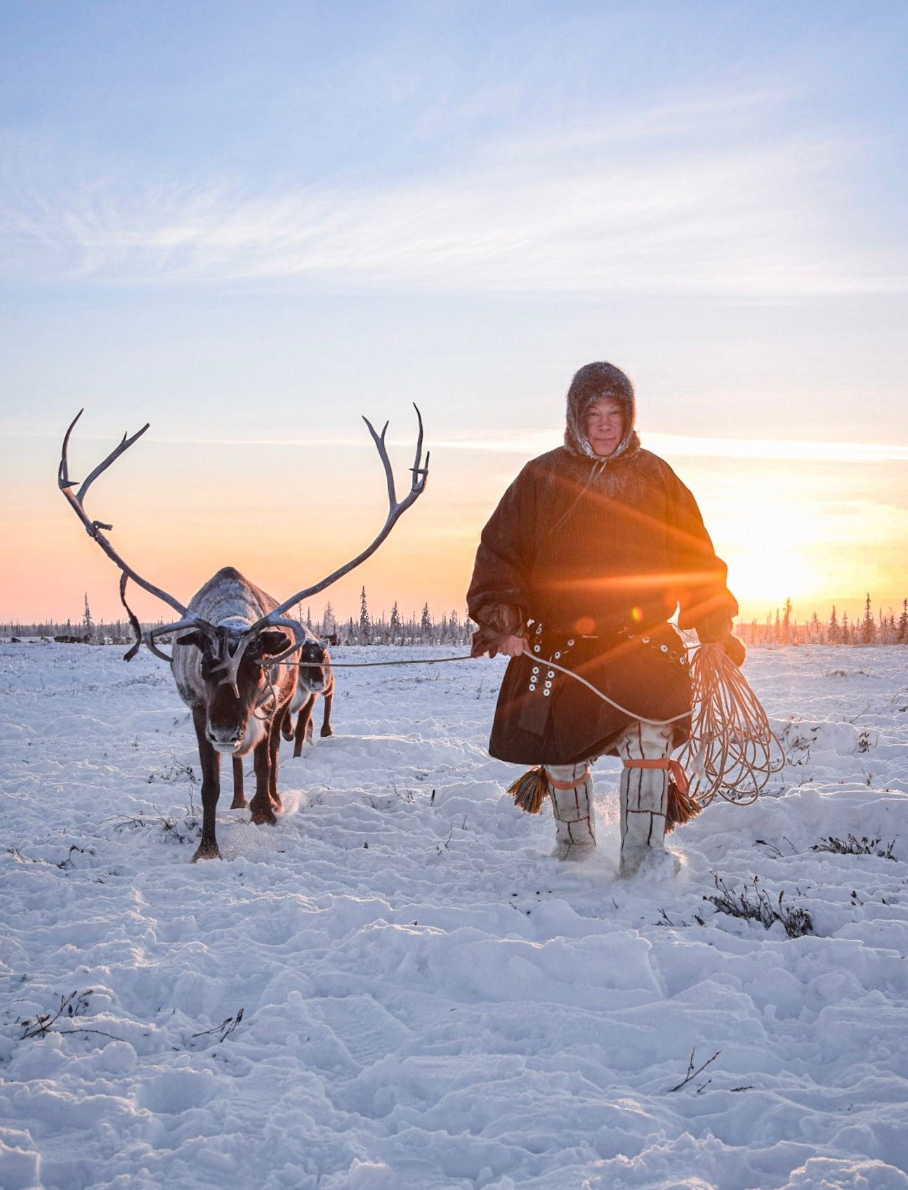 Путь оленевода