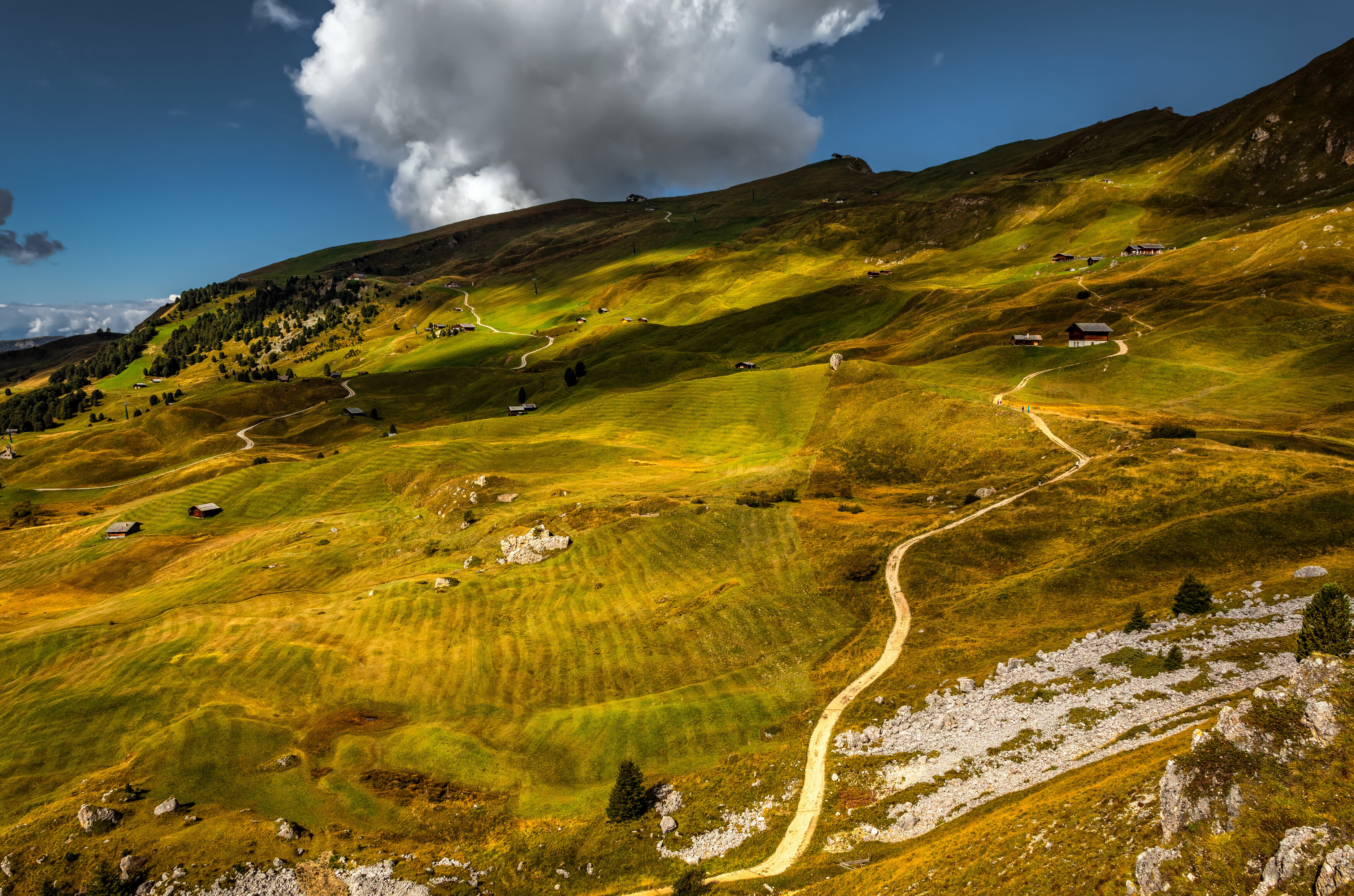 1649594241-4bf38a69d7650b974b9ac3d841dde