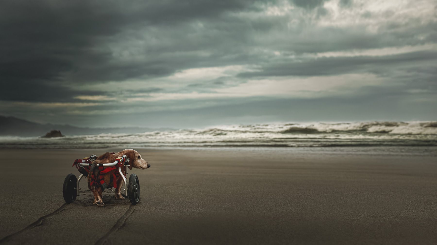 Достучаться до небес...