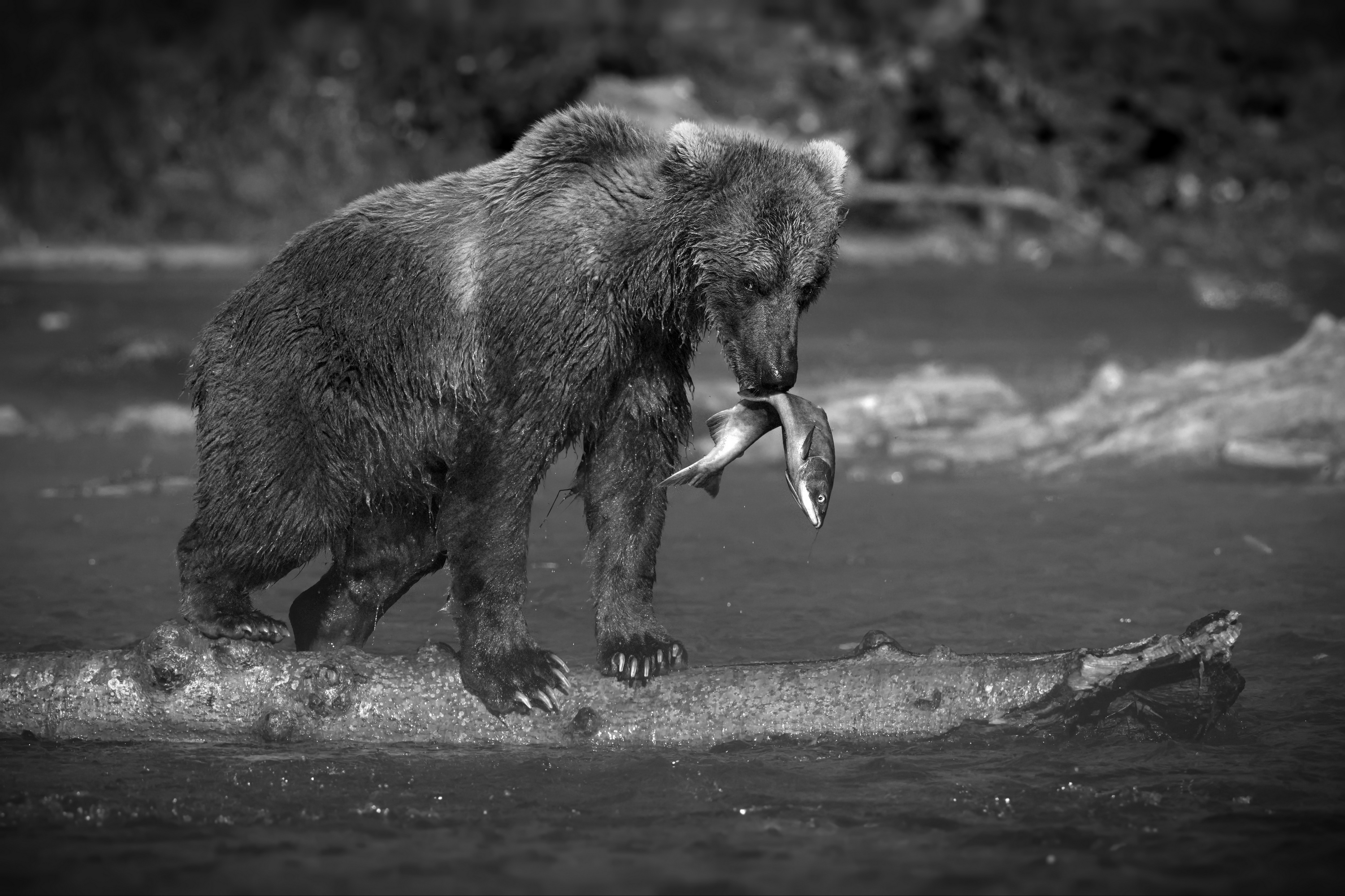 1746425669-4d5bc9657327428aa77ed0c9fe887