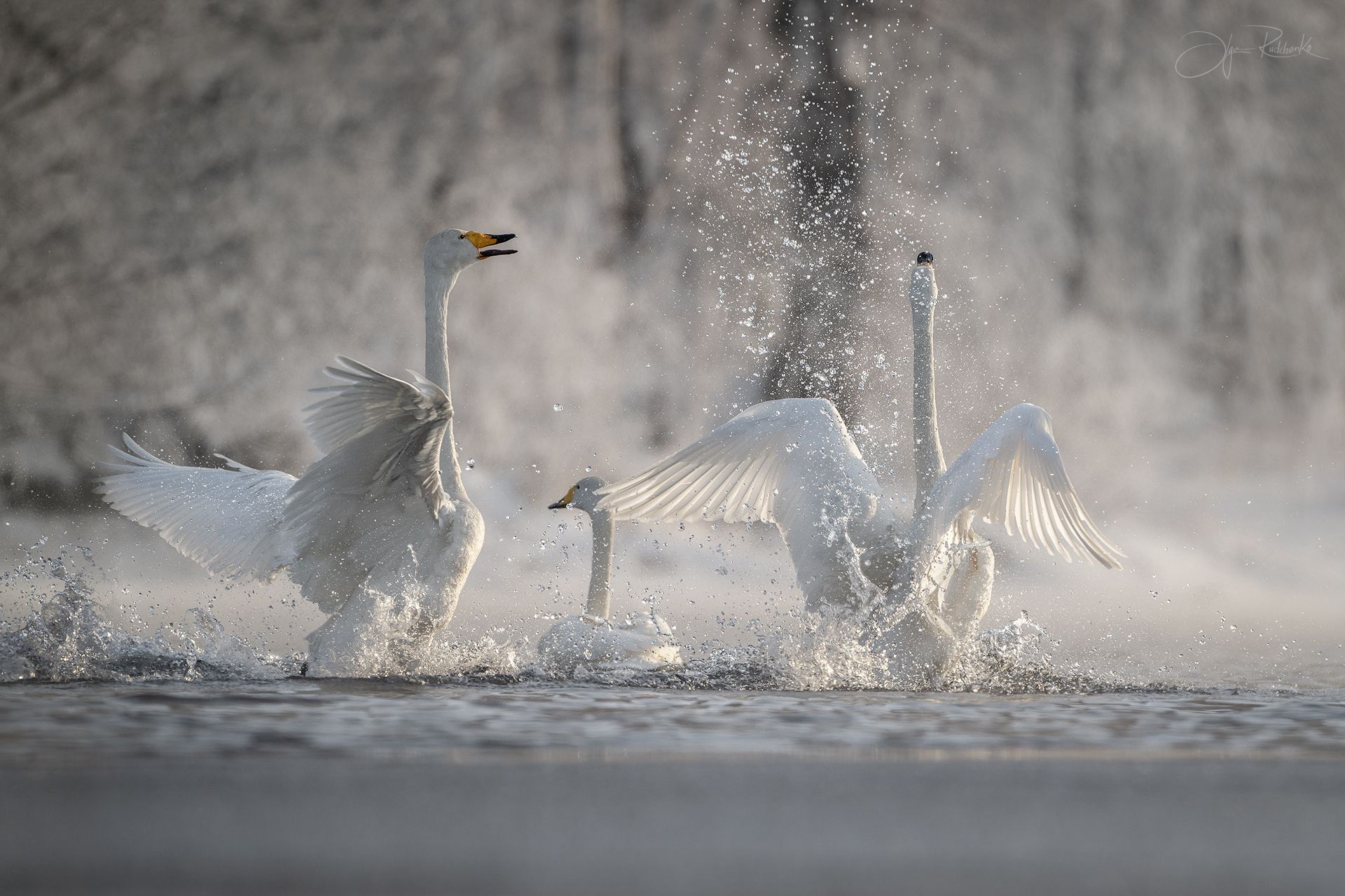 Время весны