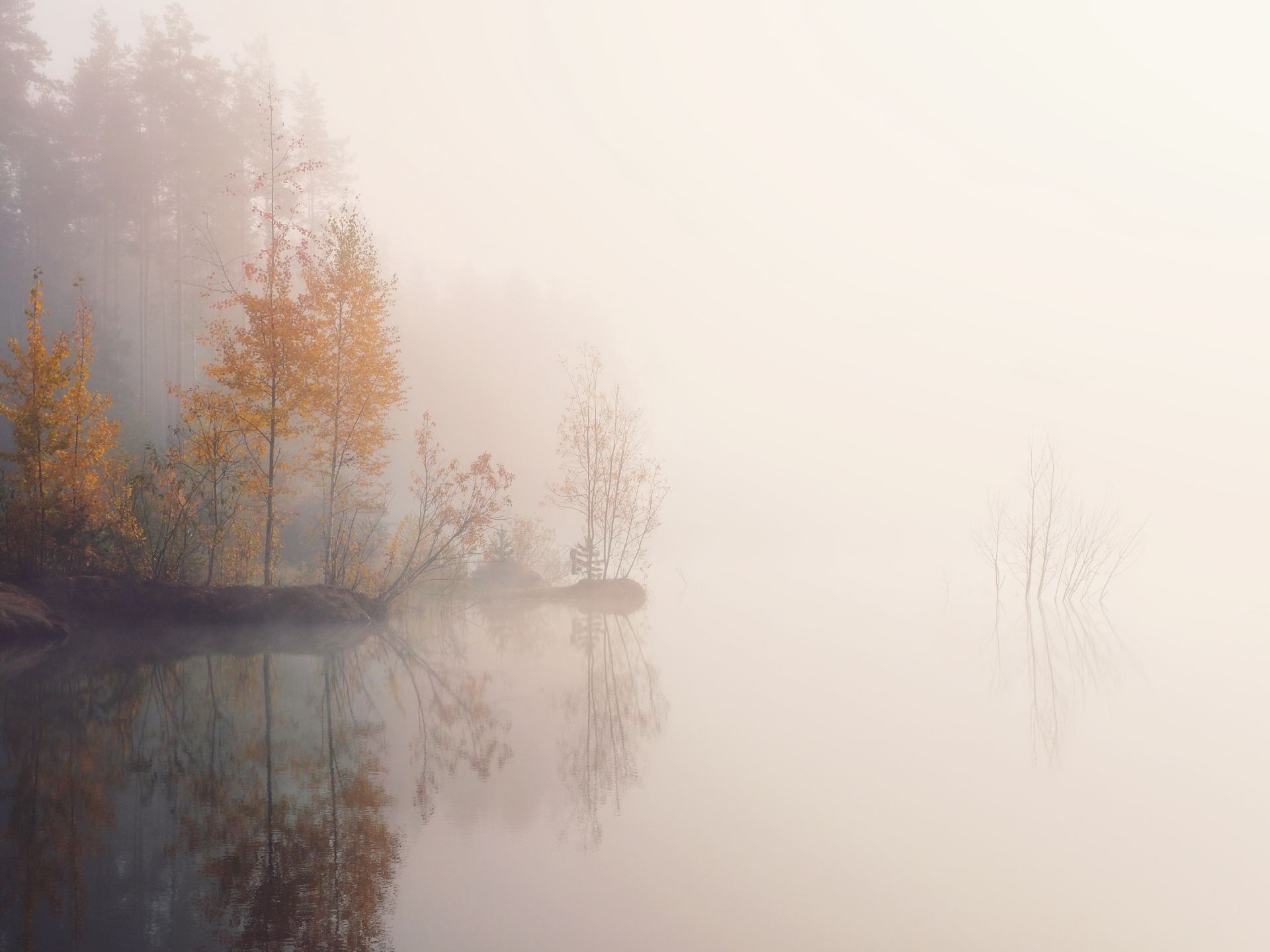 1665551772-4e29cd6dcc141da5c0f6d413a0eab