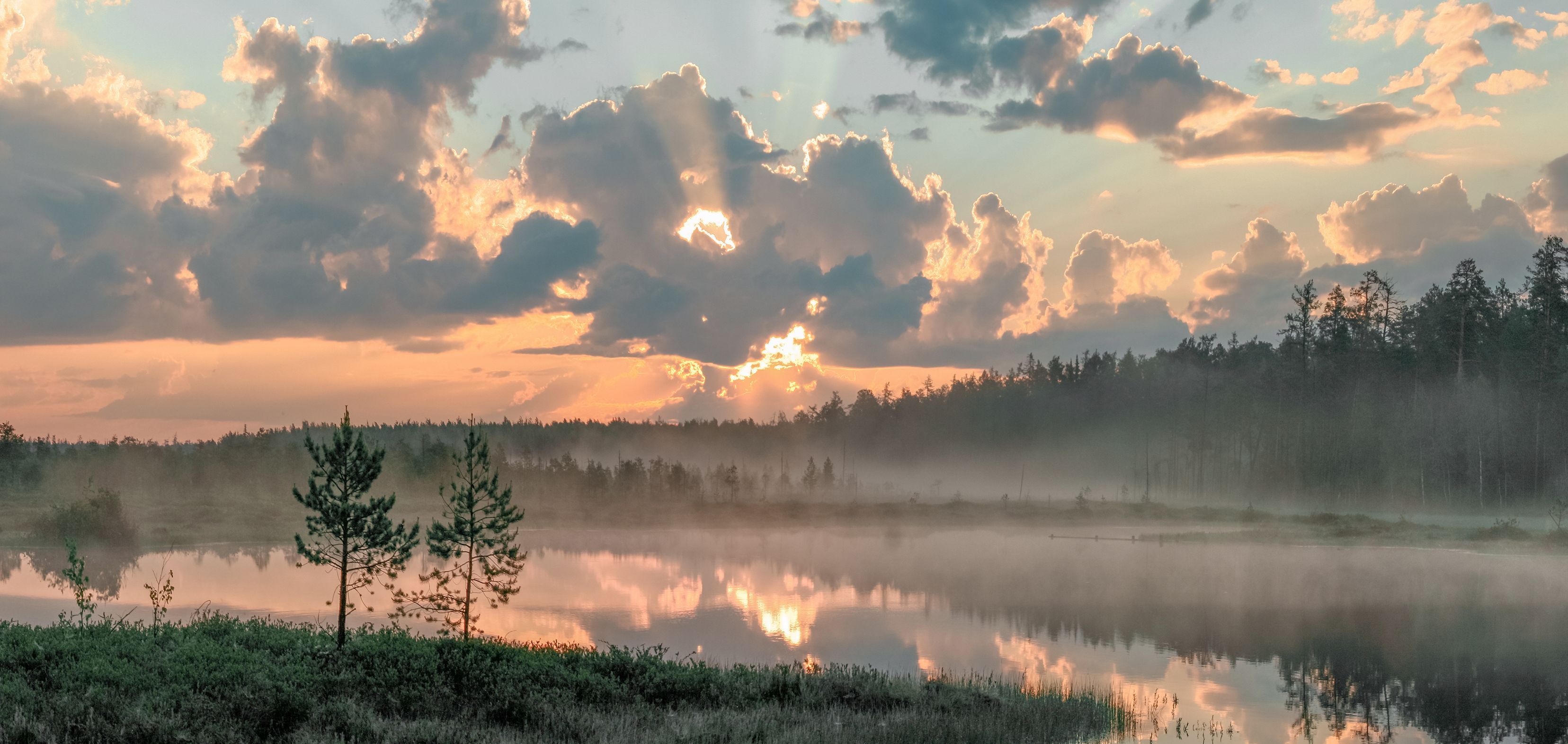 1767067730-50aaadb611ec17091baae64aab4c8