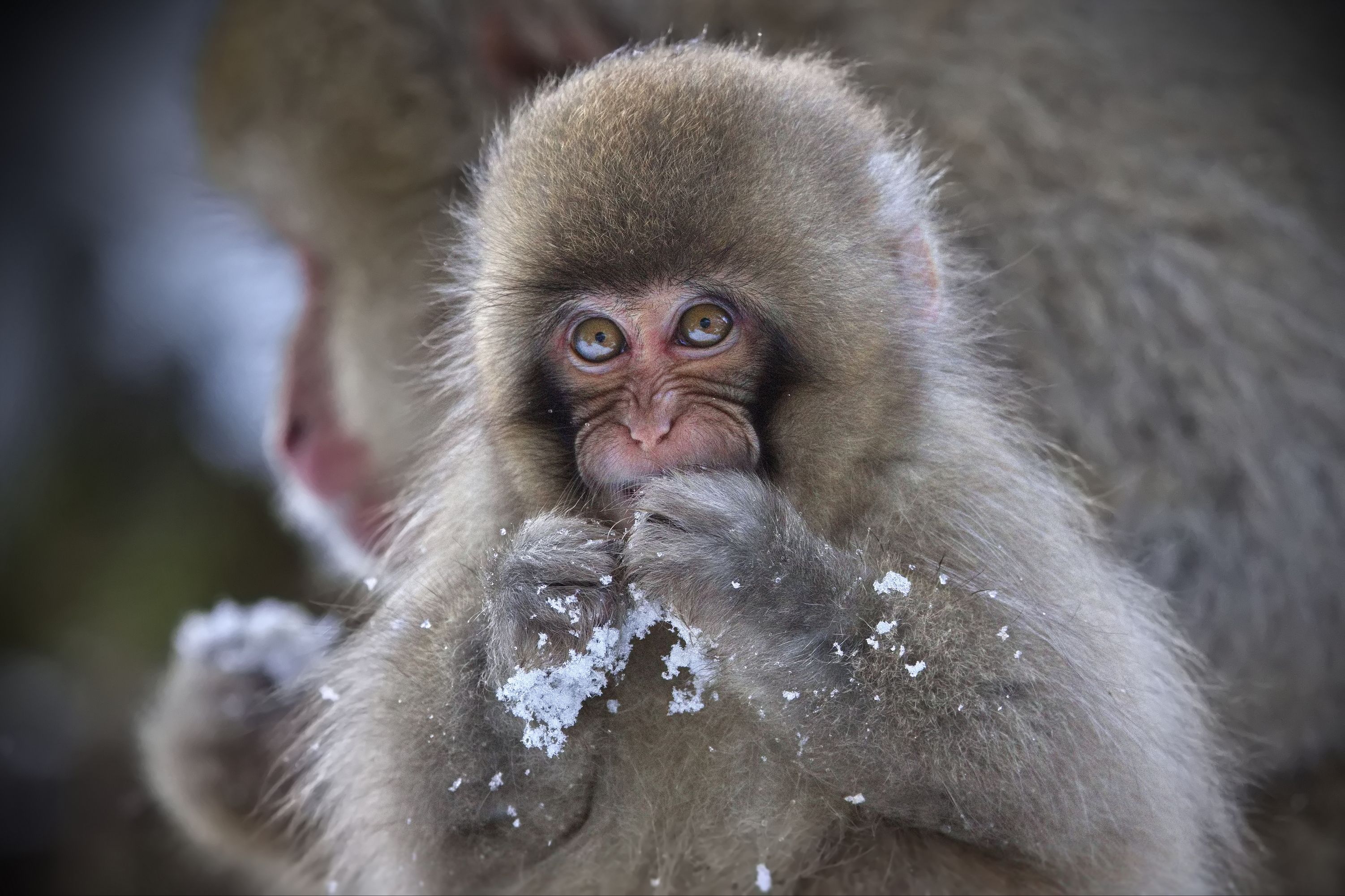 Лукавство — не порок!