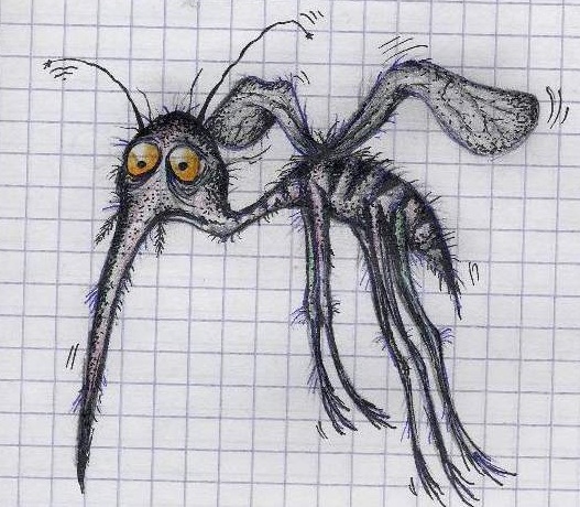 1495916997-52643fa0a388c33c13924220936f8