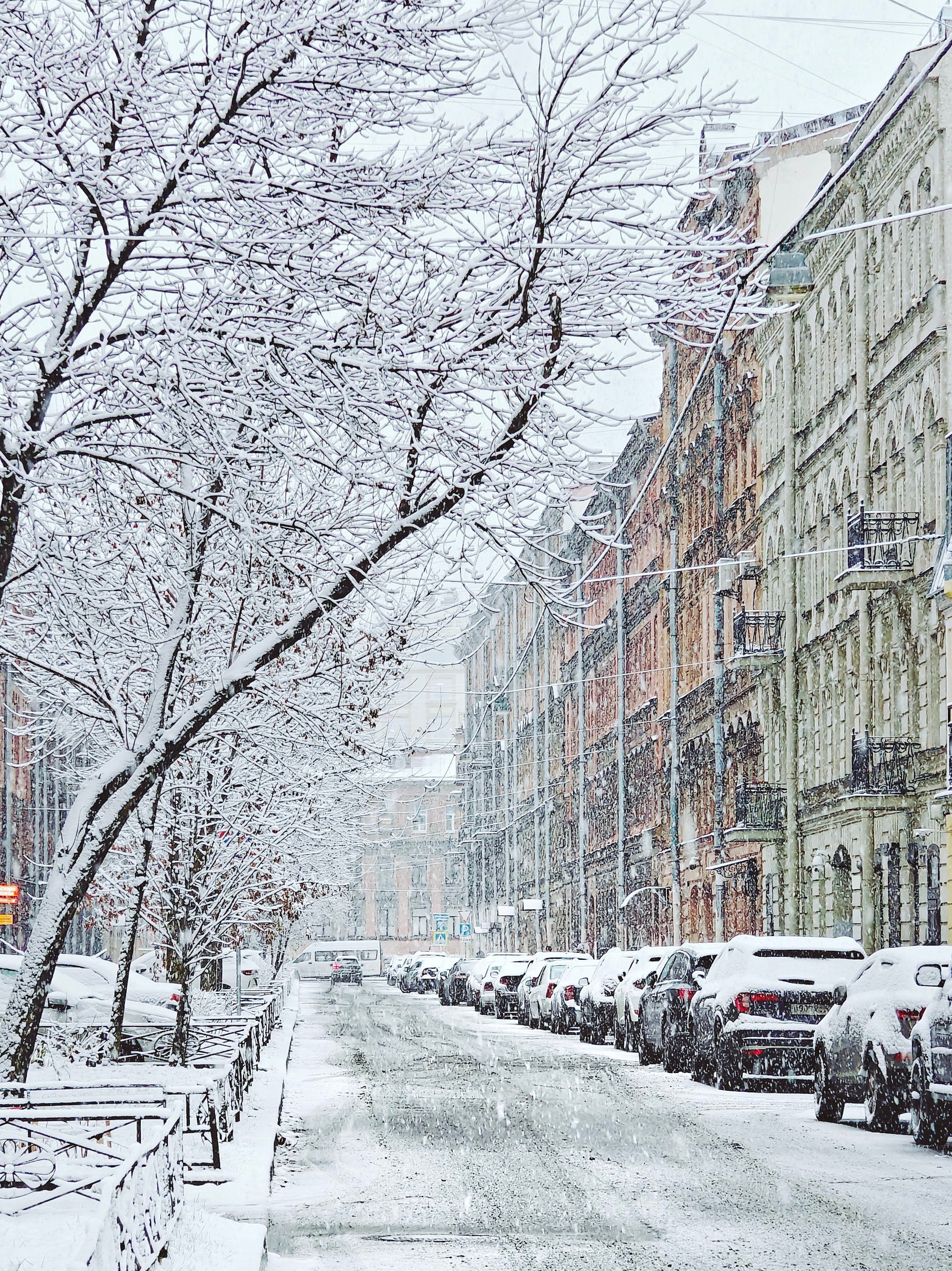 Сегодняшний снегопад в Петербурге