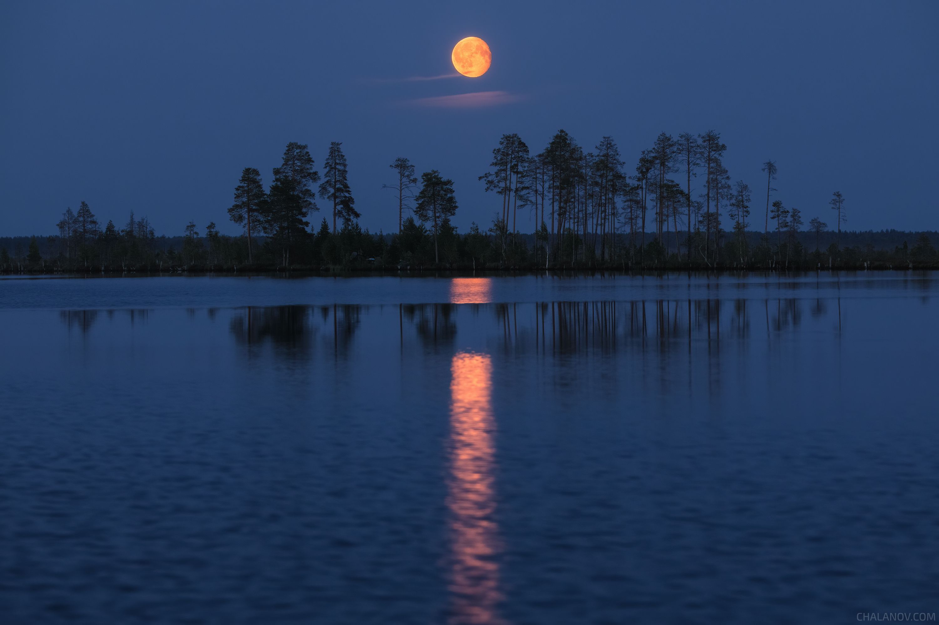 1767000165-5598af2c327926cd266762801720c