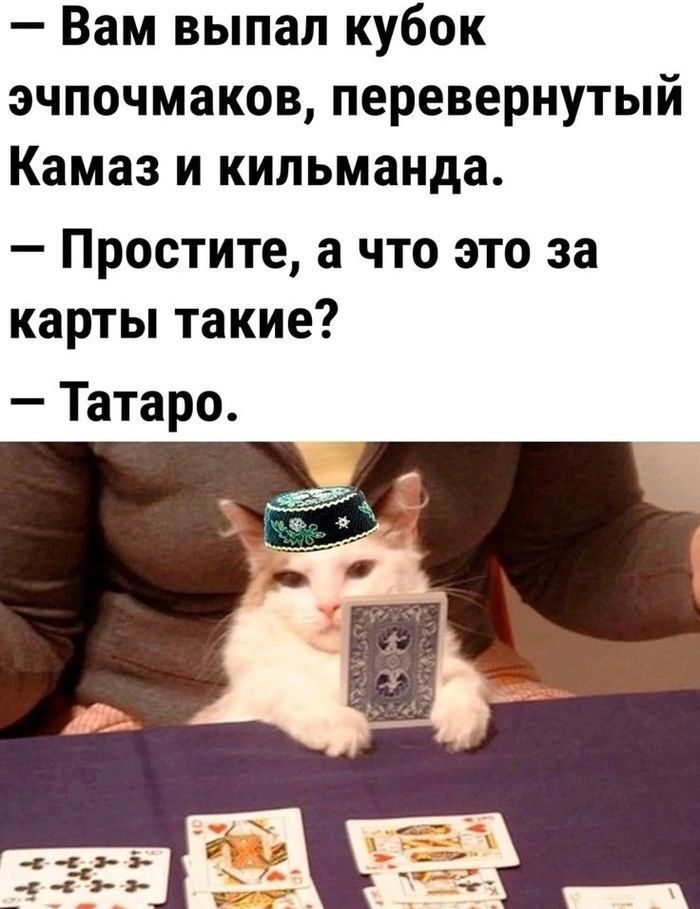 1775735237-560e7ed62869672894daa45dbc3c7