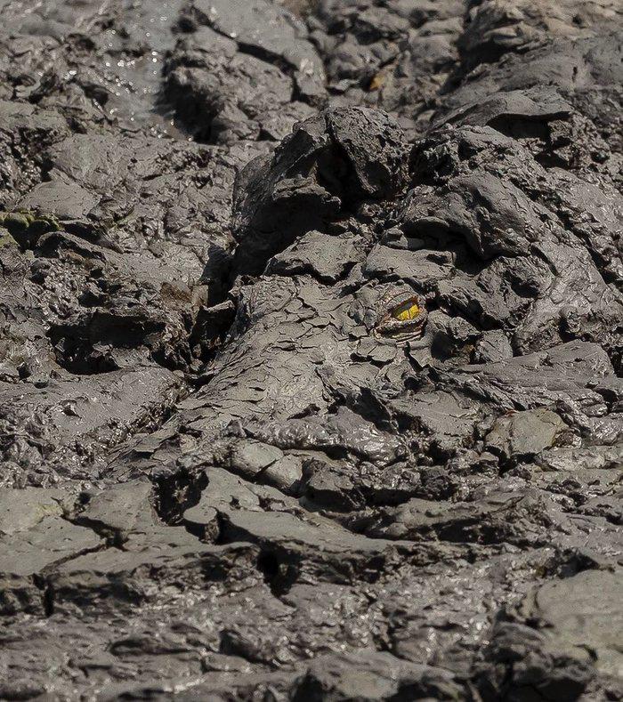 1590674134-5968ad0ab80aae24304f11159a579