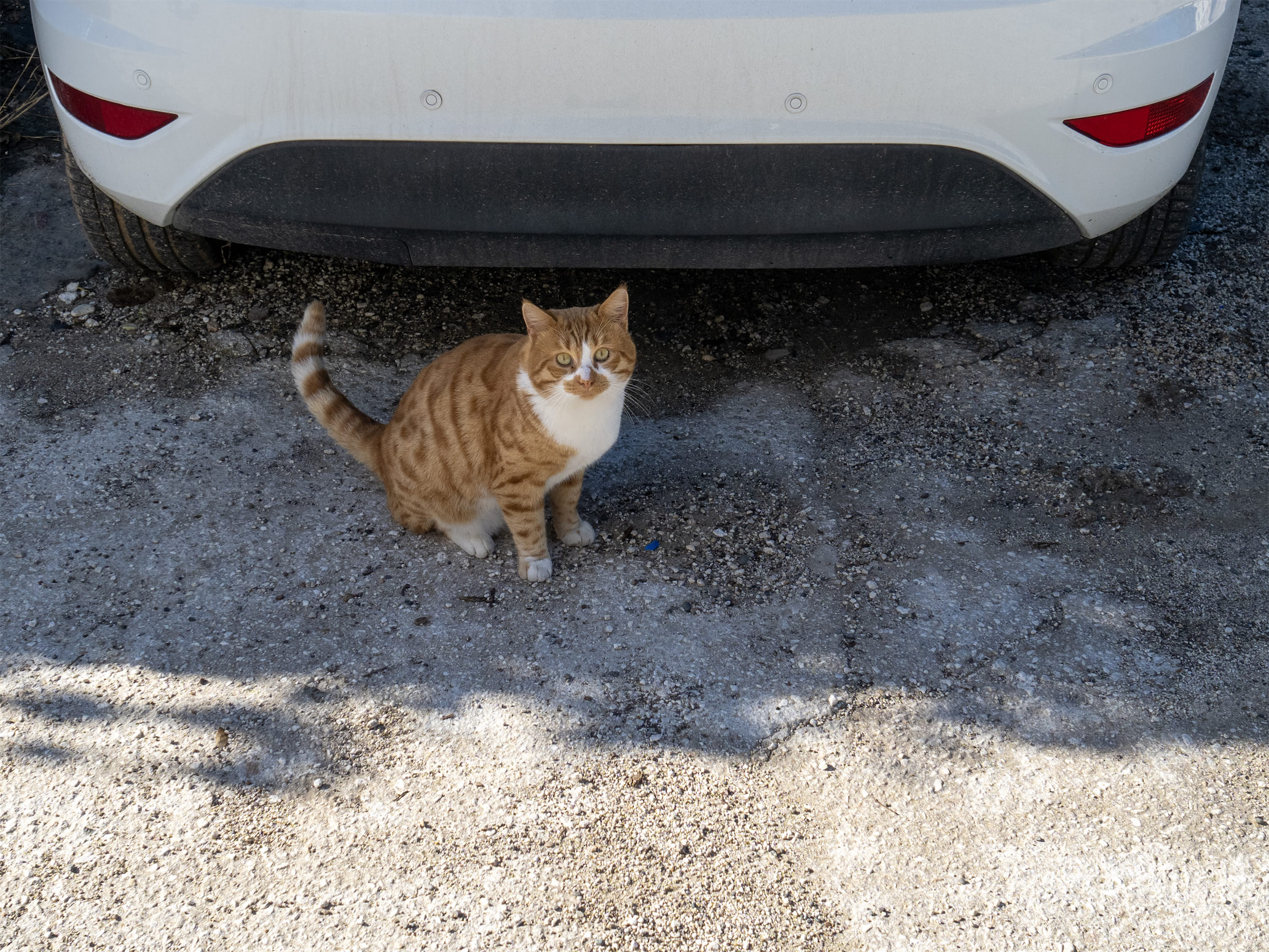 1751916107-5a6d08719ae69011a1b9ff32778bf