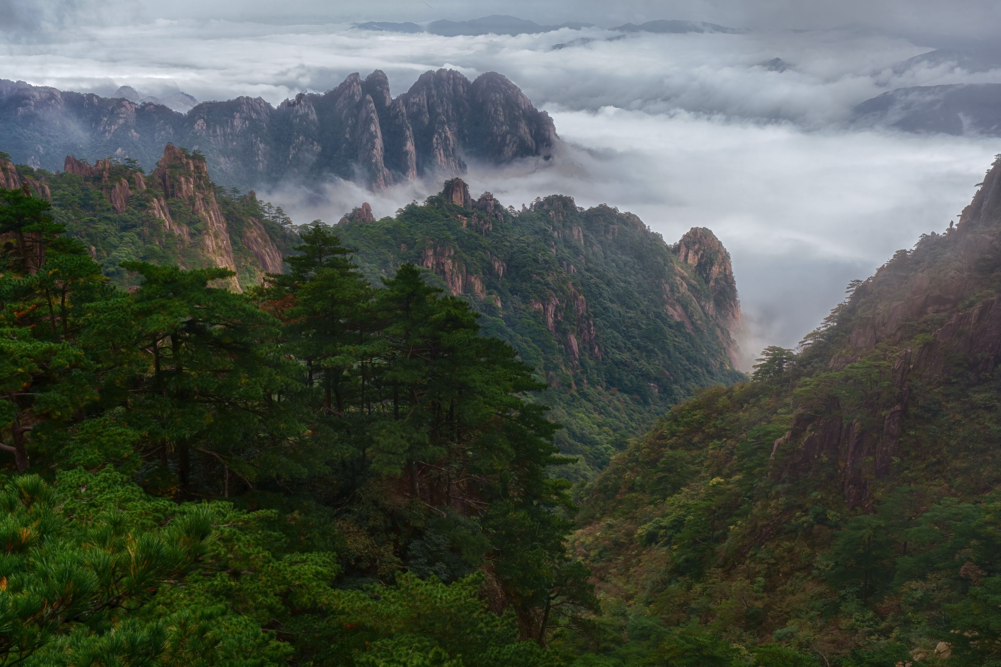 Над облаками