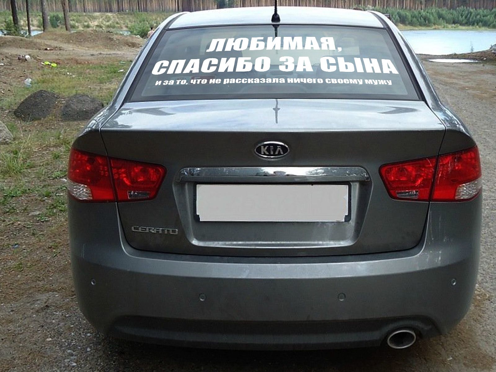 1515495096-5c360754b3b8bada992eb1a97725b