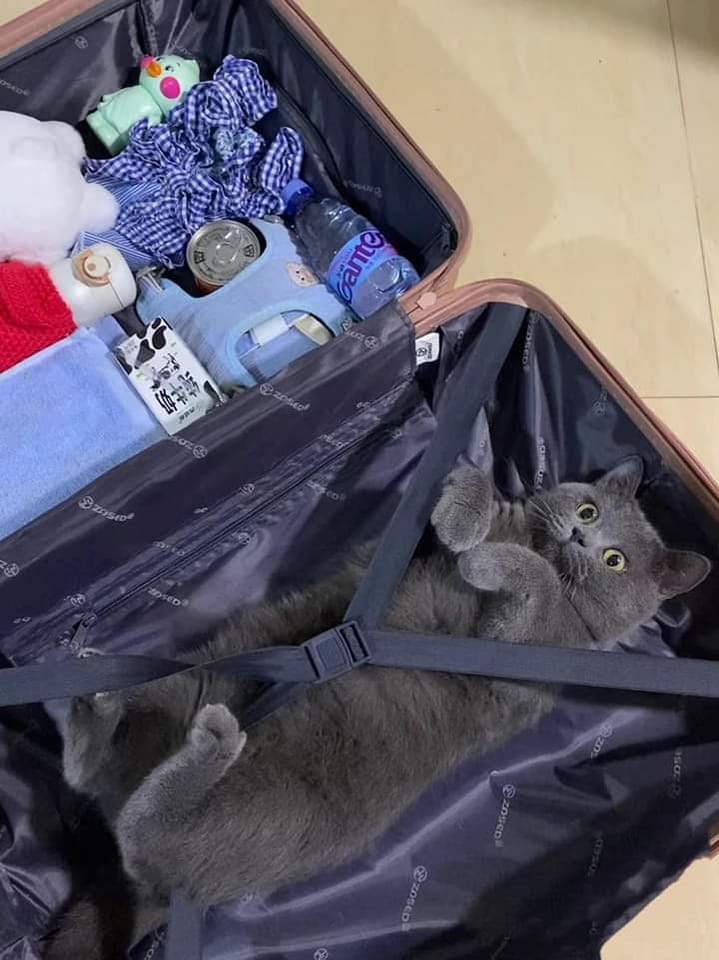 1702865046-5cf983241749b0ba17d8990b799b2