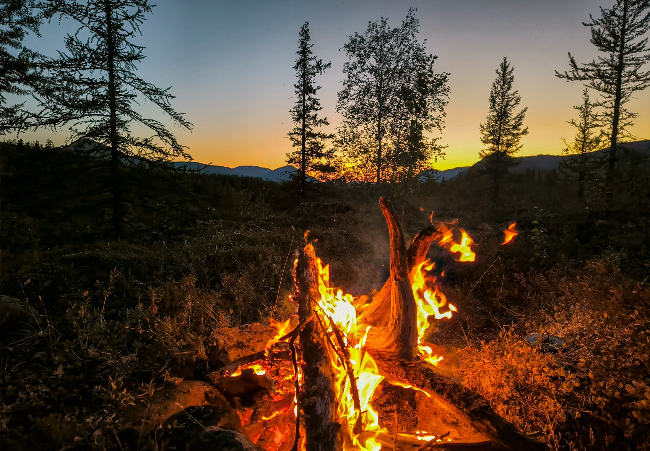 Летний вечер в заполярной тайге