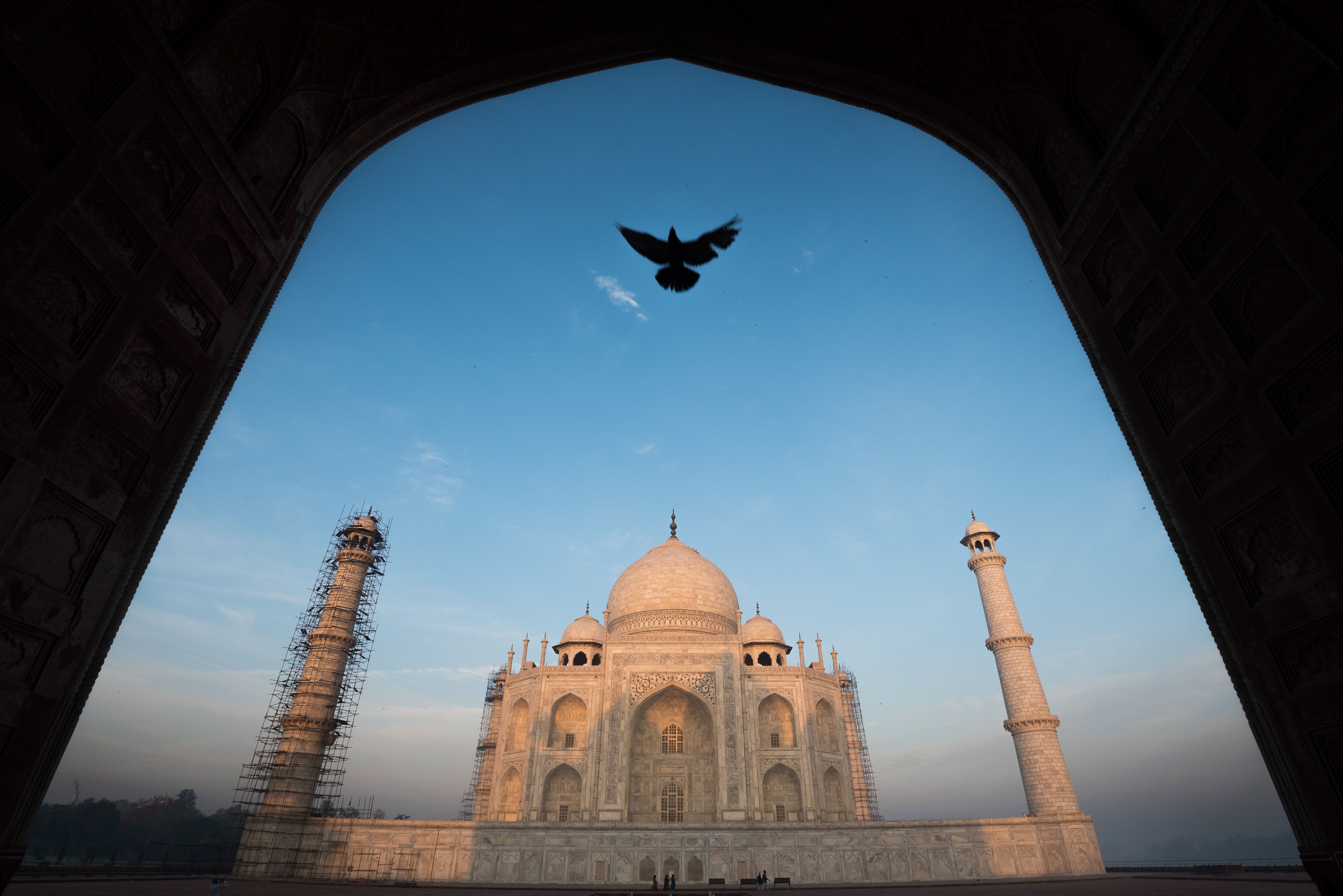 Taj Mahal at First Light
