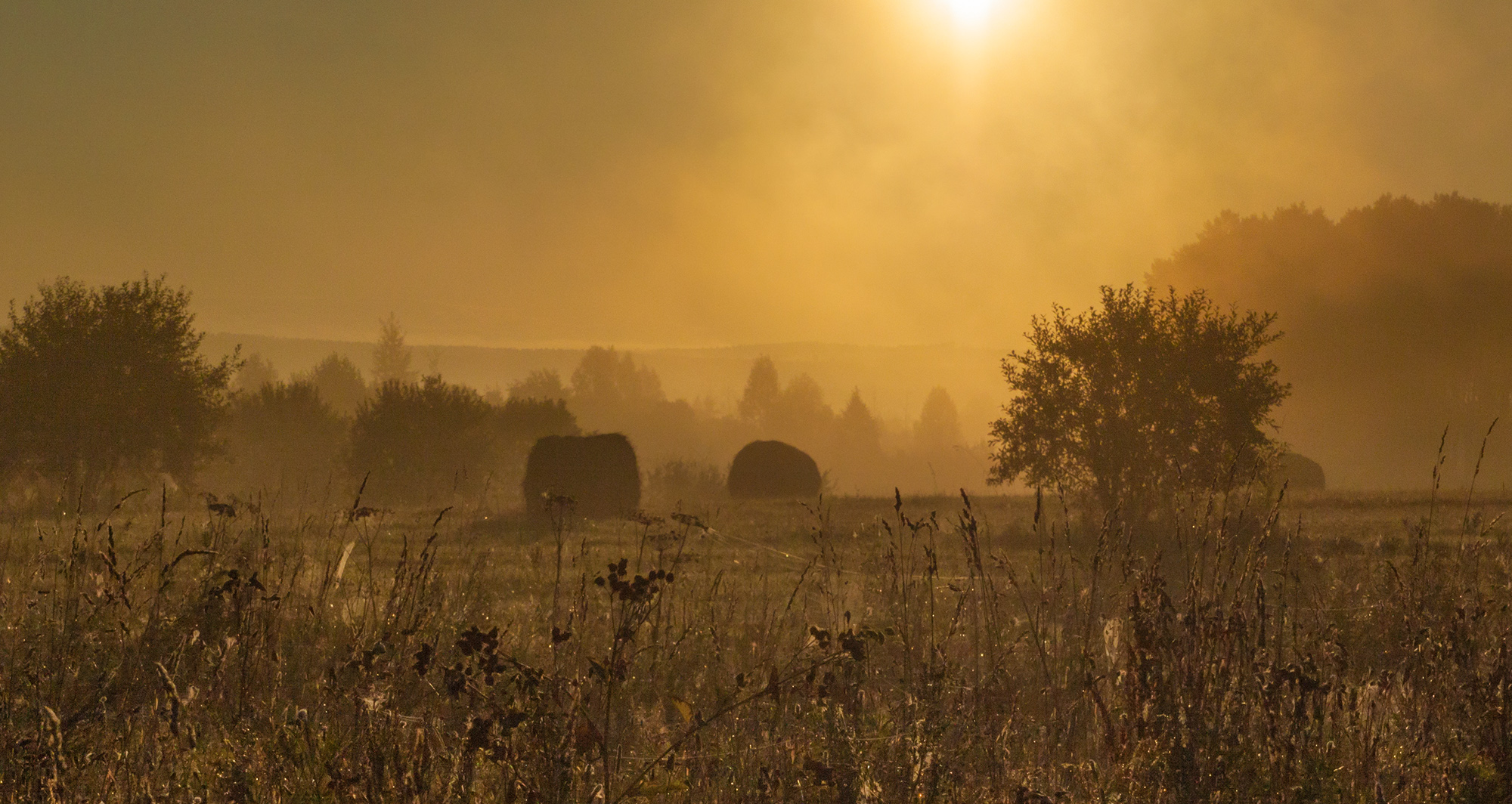 1755262217-6036113f7d984432be52f7349de45