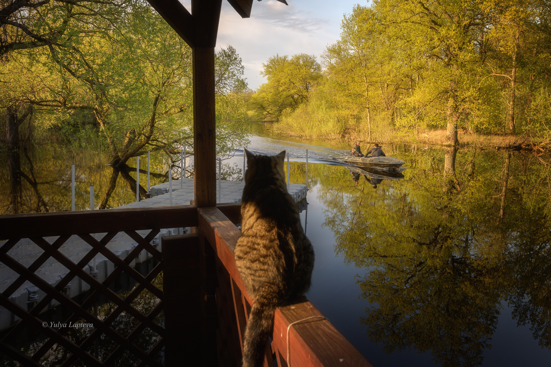 1652295498-60a2cf11ac25afdd9939e46bf7971