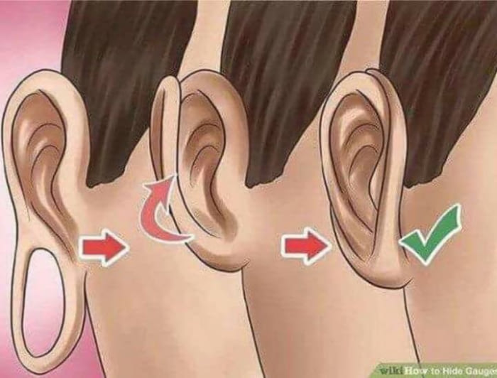 1509885564-6148b52de5408cfe75f0d751e29cc