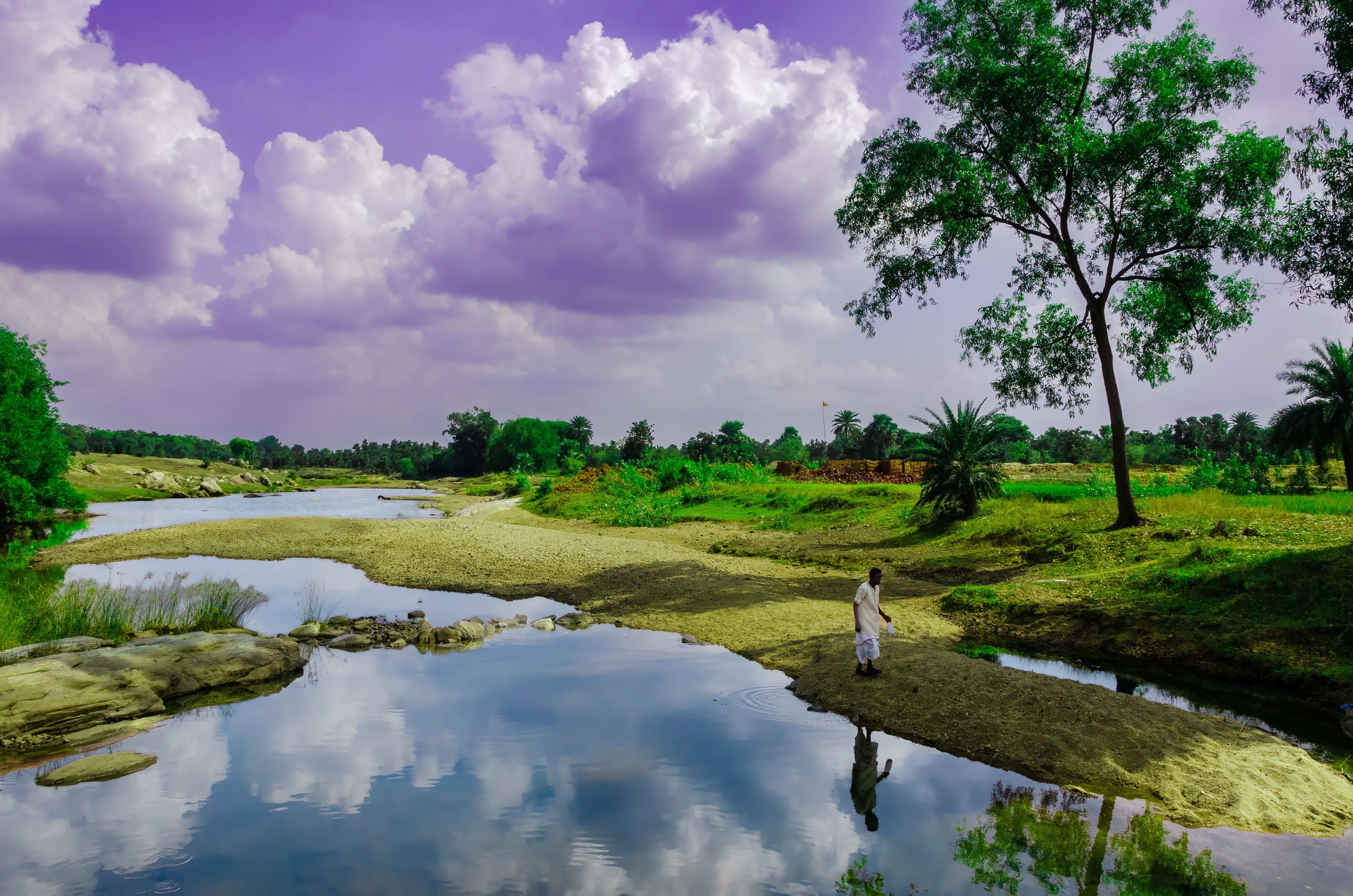 Walking Through Nature’s Silence