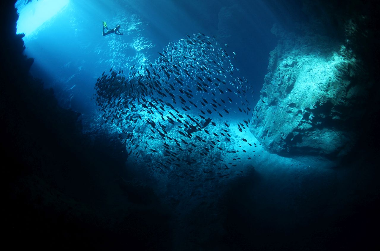 1757339789-652de1c9e503c2c9d5c14178c7e95