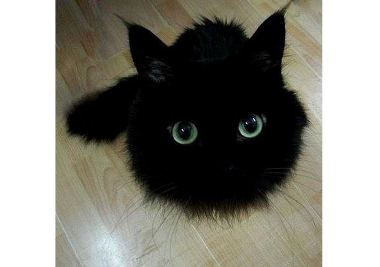 1703083608-65e9ff5d146d2fd7e5291b6829f15