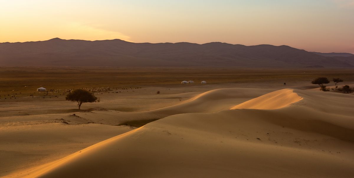 Жизнь на краю Гоби