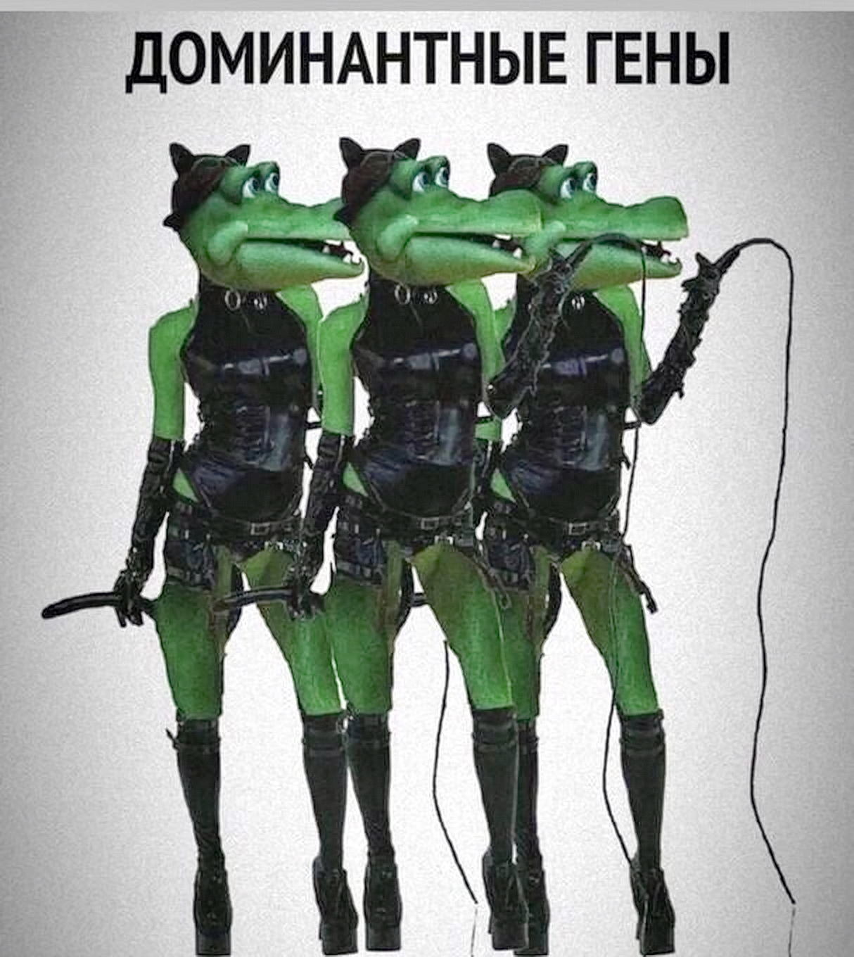 1659970742-6727d591e38c2ffde3616c64d72fd