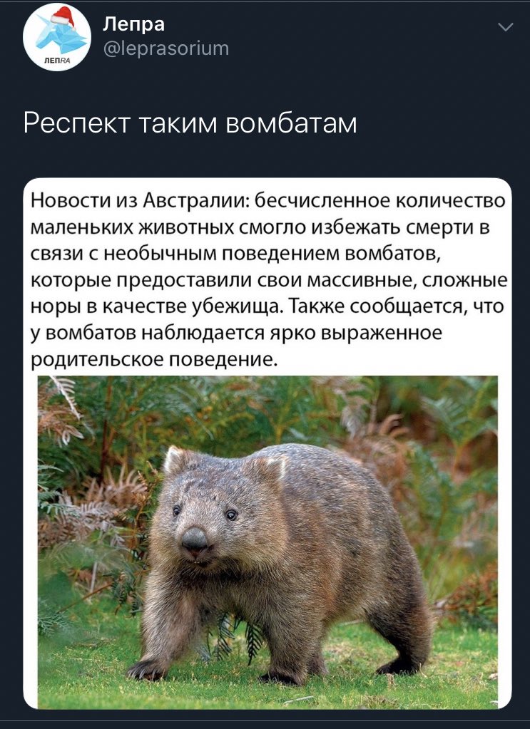 1579100005-695f025e26e01b2739f28eeb52b68