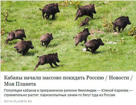 1483961028-6a7d8374da29d42fa808ea854eb7b