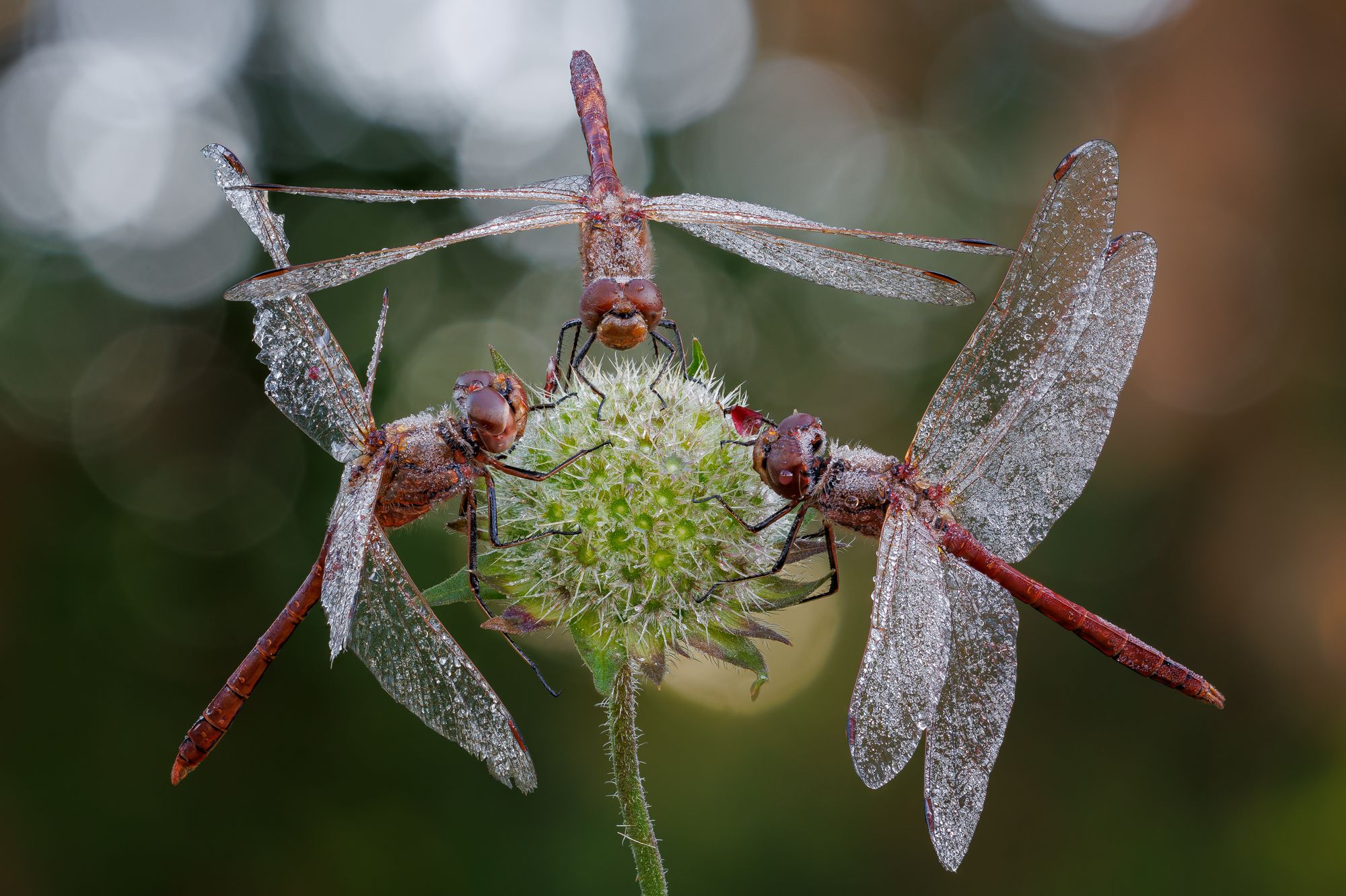 Утренние посиделки