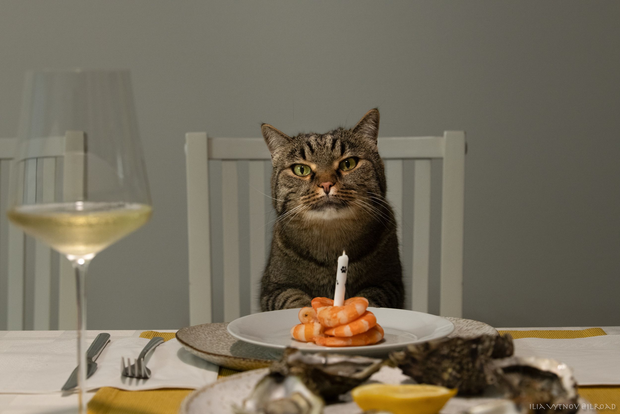 Котюрморт