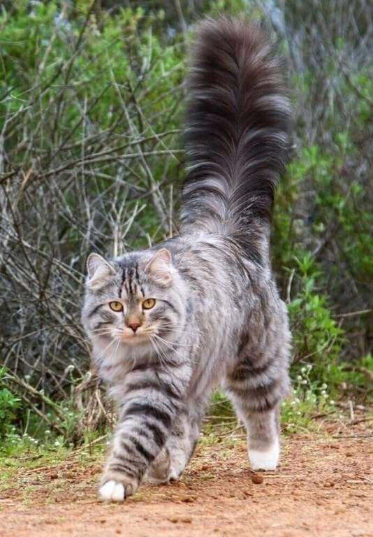 1651821659-6fa62458477e48c5b07e3df699831