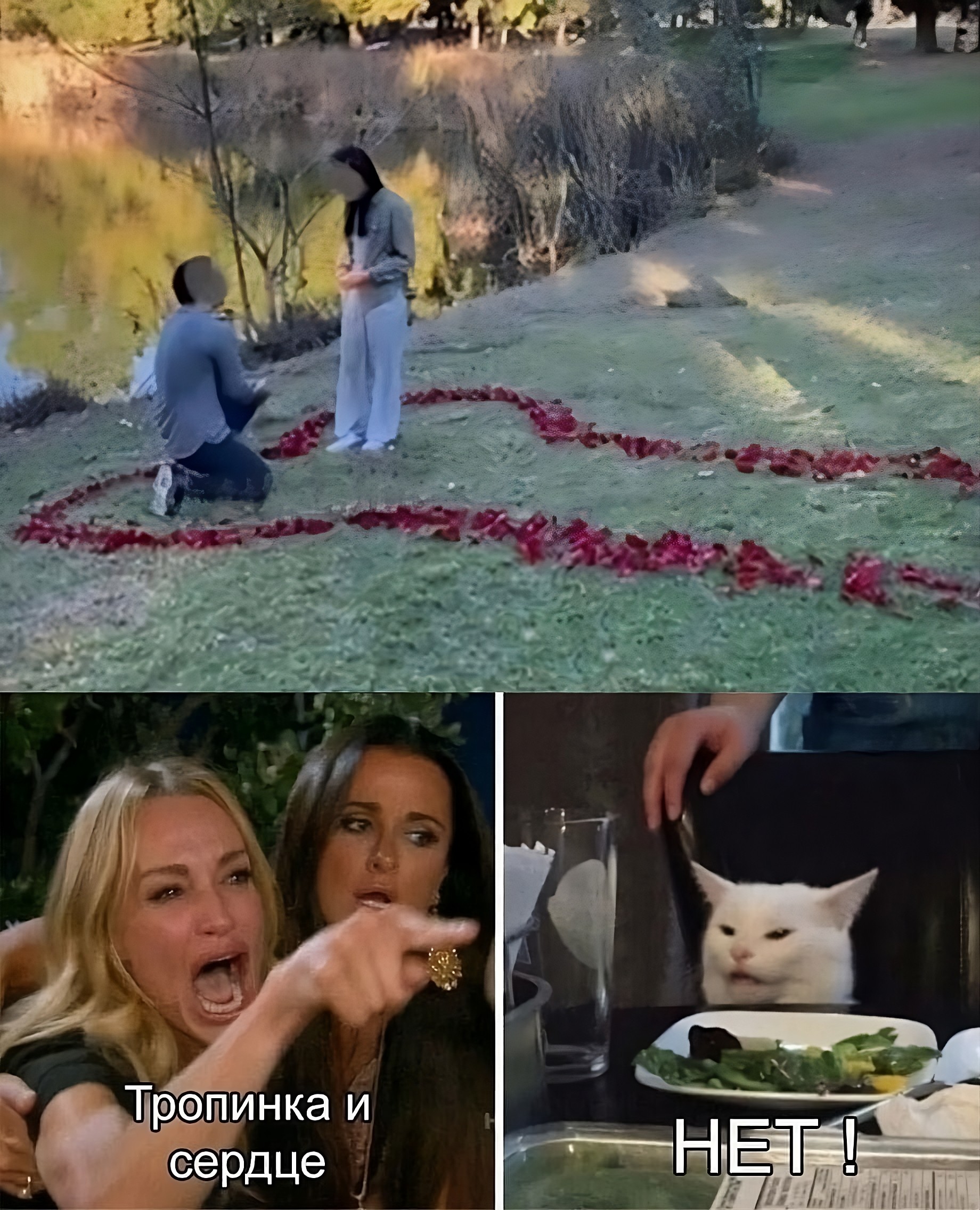 1699527101-7041fb6b4ccca90351eb4fa326e90