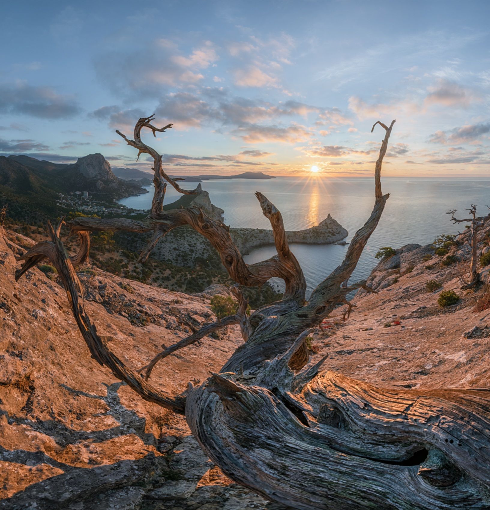 Ново Светские мотивы