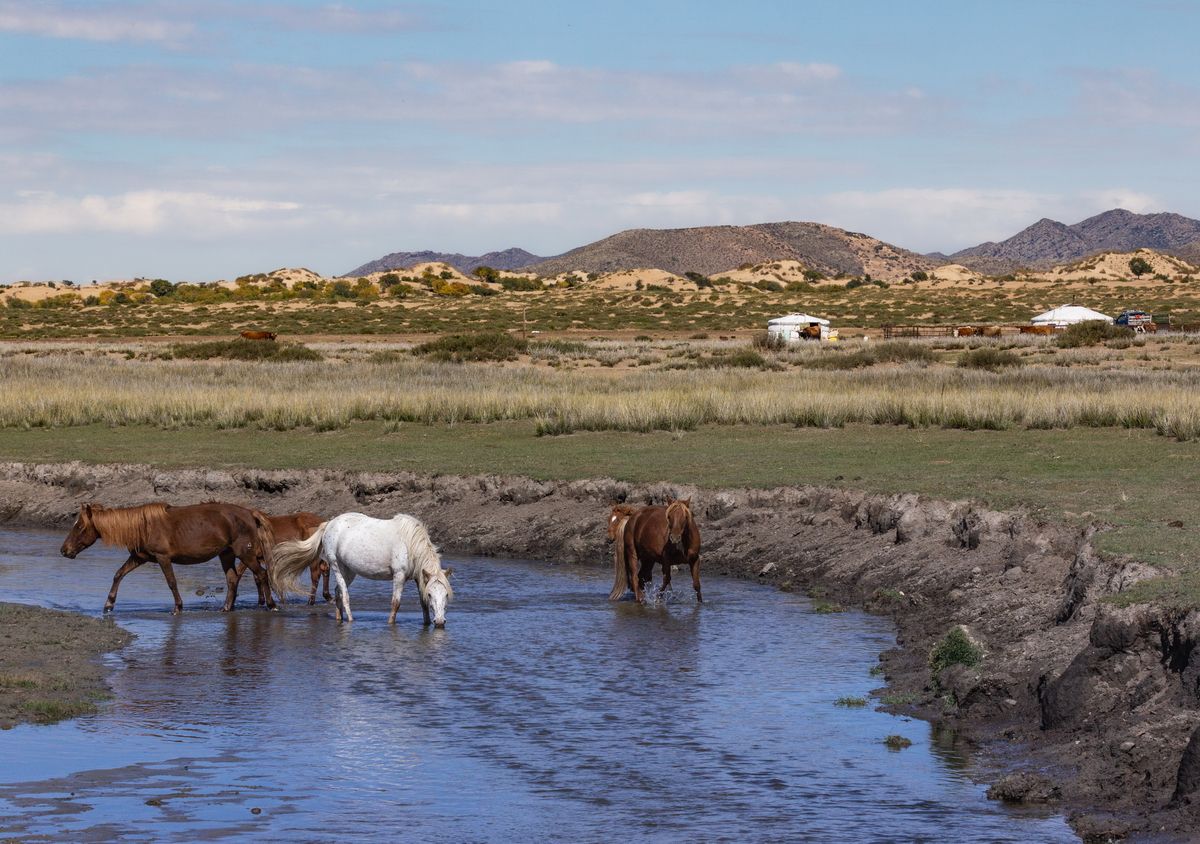 Обычный день