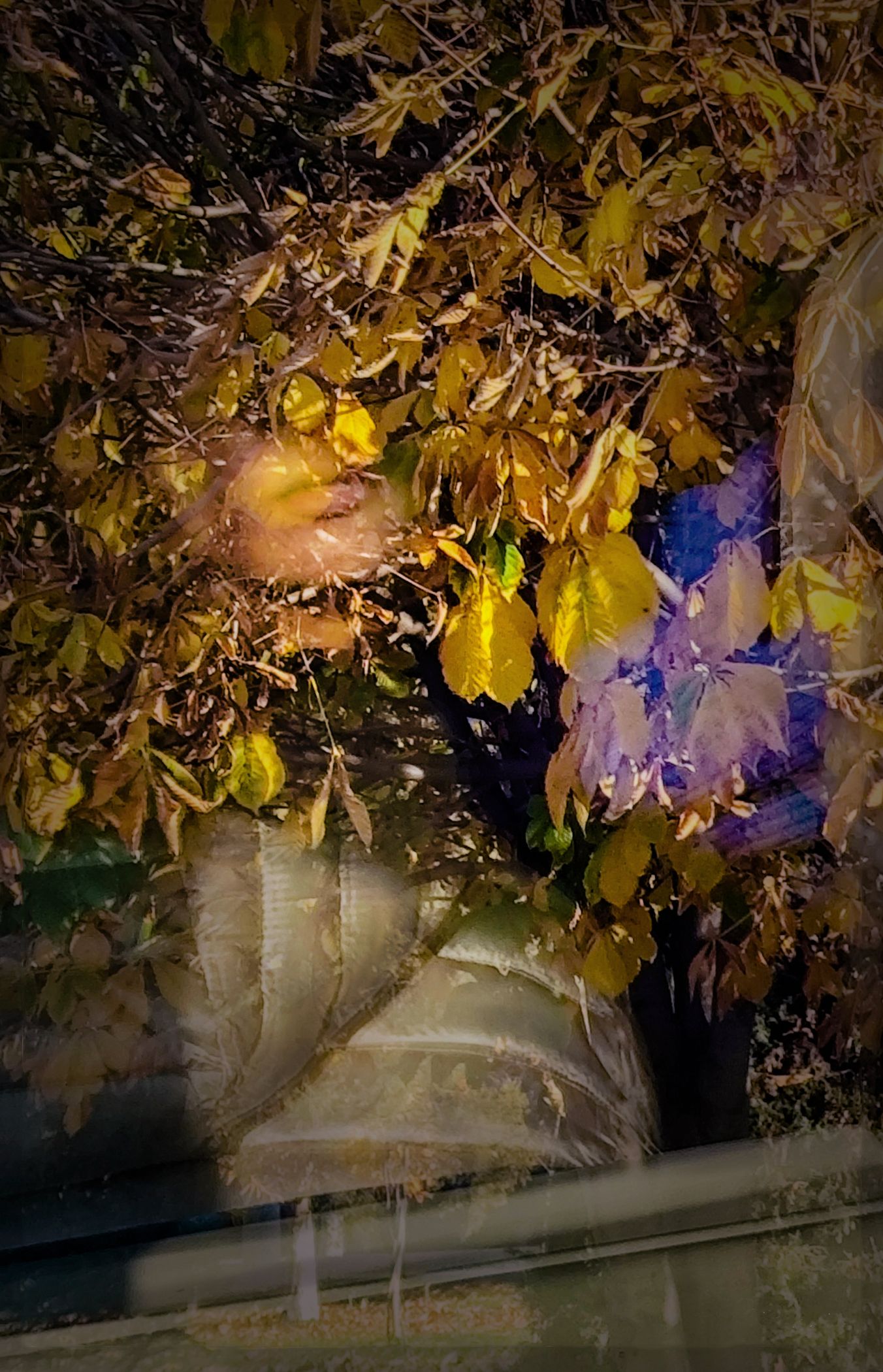 Мелькнуло в окне автобуса