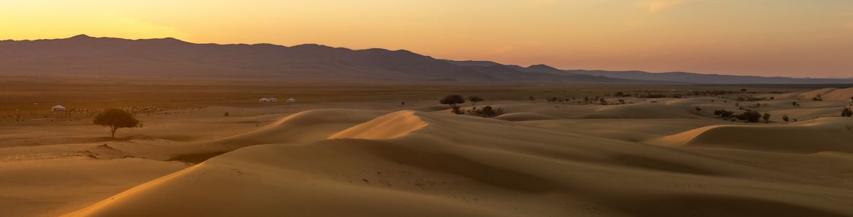 На краю песков