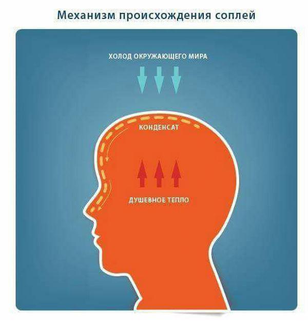 1509006730-75db2e23eb5481dfe6838f4273260